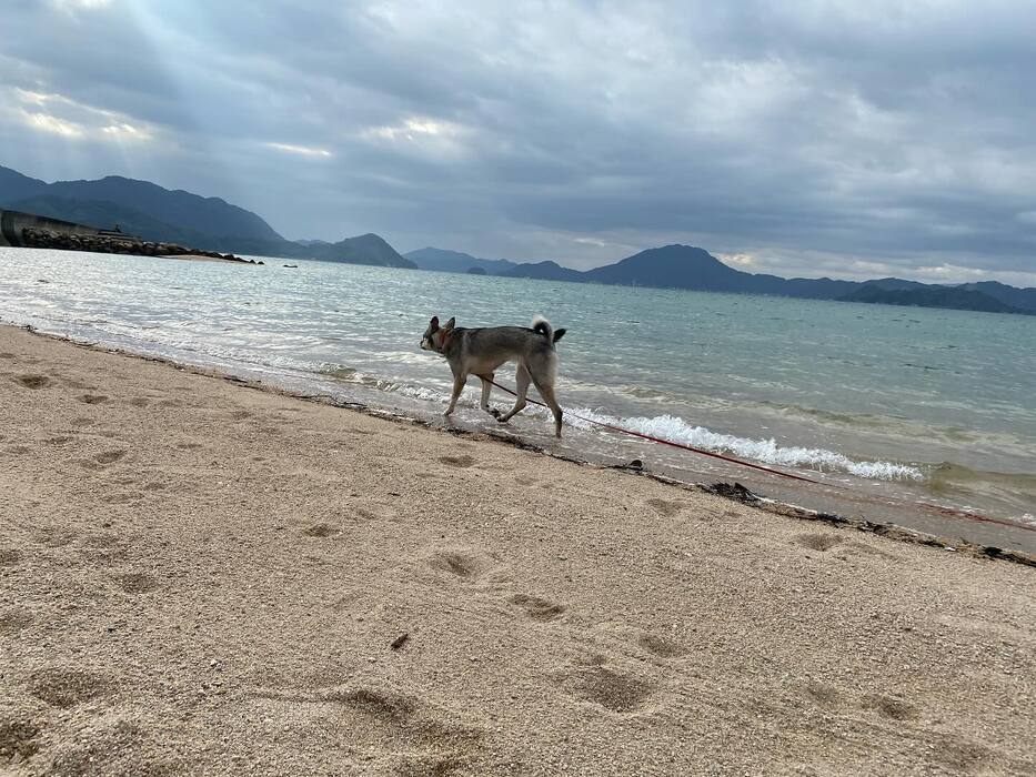 画像1222