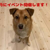 画像1249