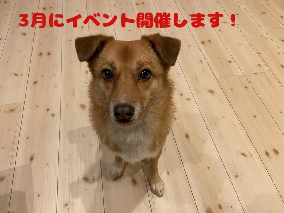 画像1249