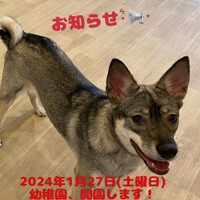 画像1299