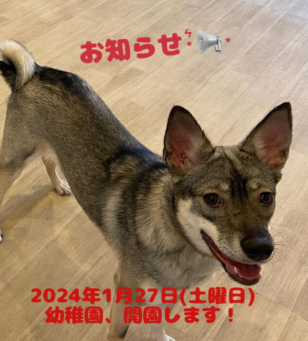 画像1299
