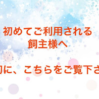 画像1368