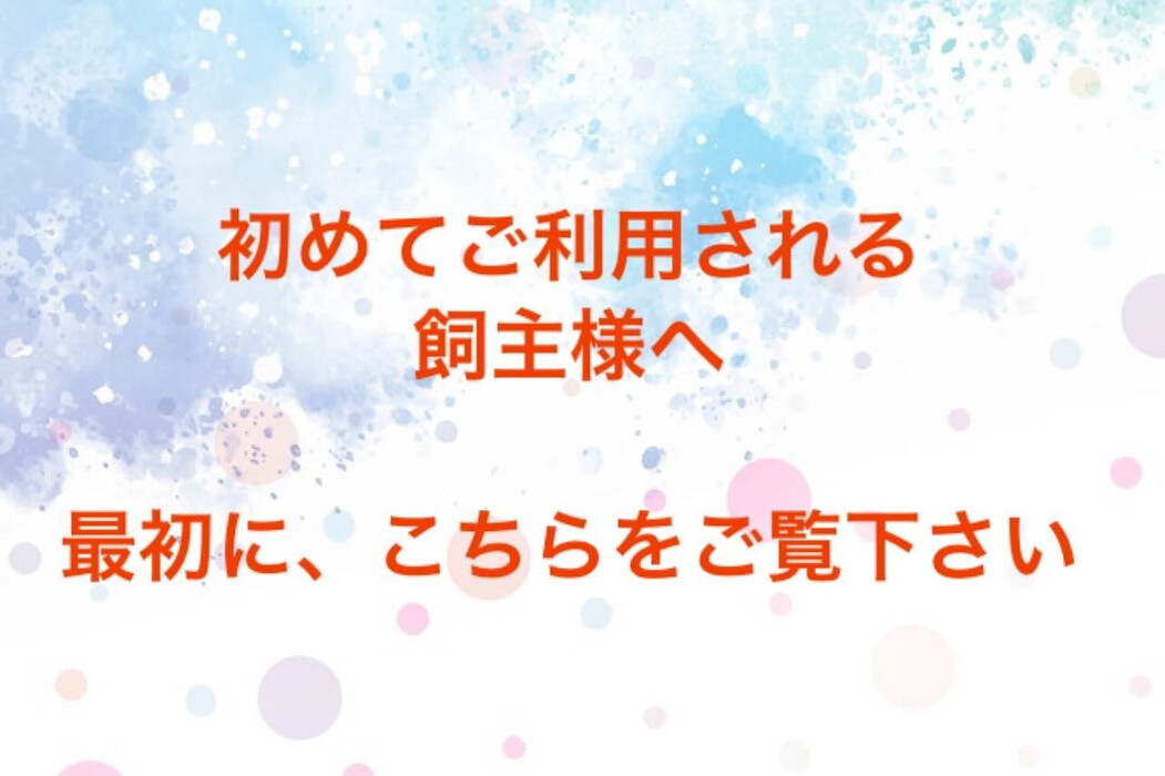 画像1368