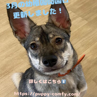 画像1402
