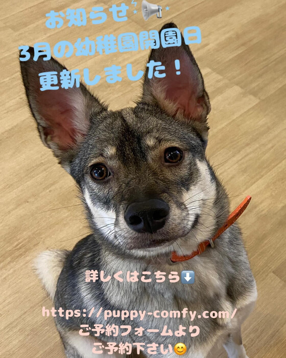 画像1402