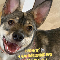 画像1476
