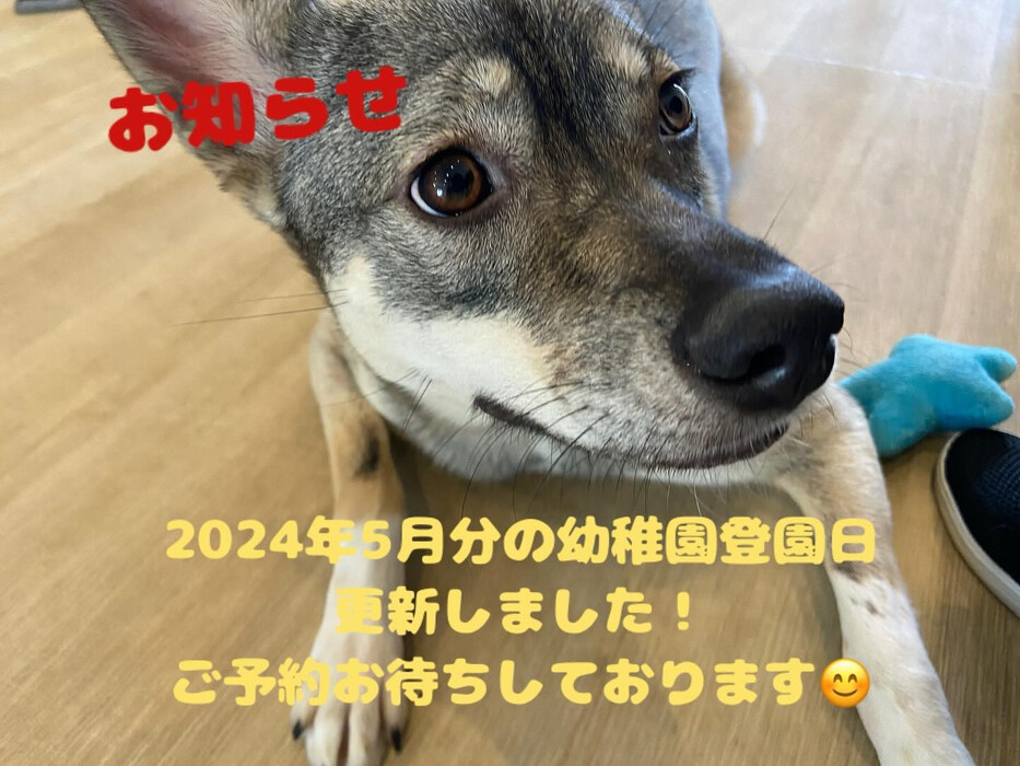 画像1573