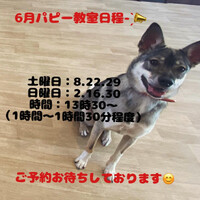 画像1610