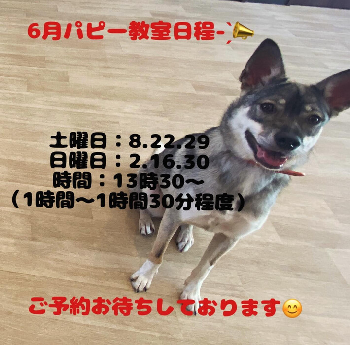 画像1610