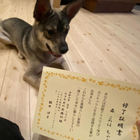 画像1649