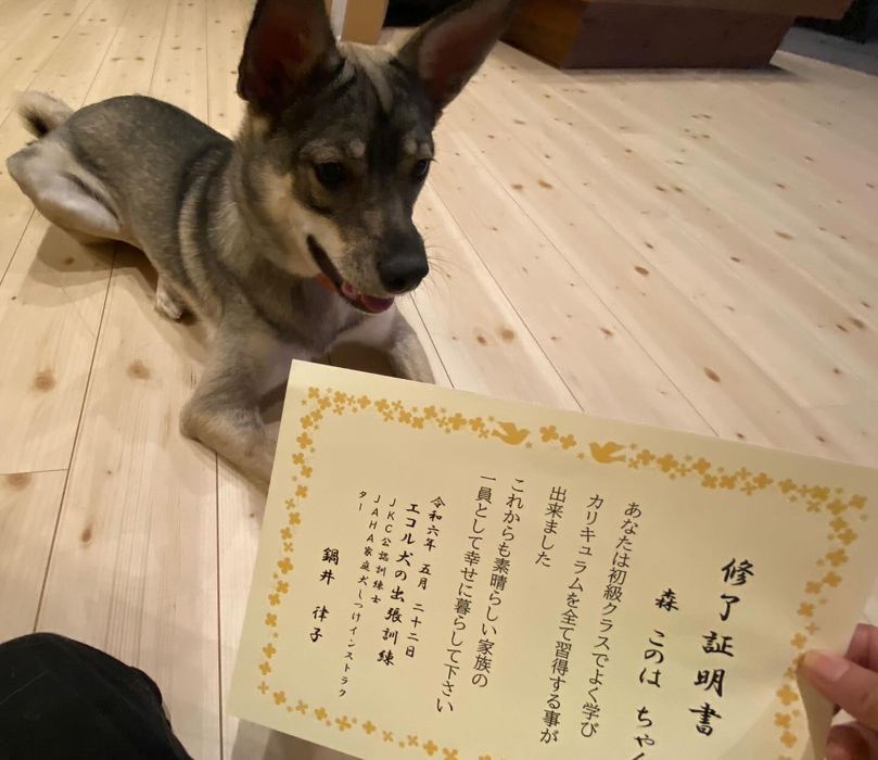 画像1649