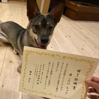 画像1650