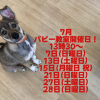画像1826