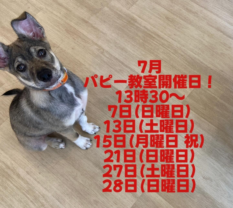 画像1826