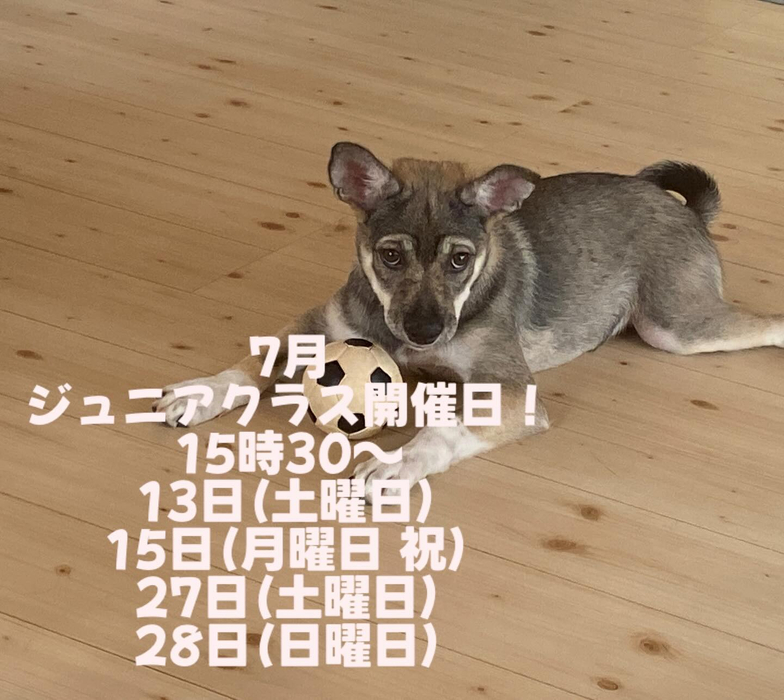 画像1827