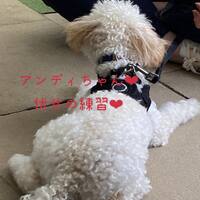 画像345