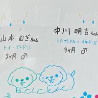 画像389