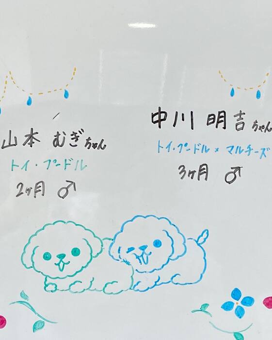 画像389