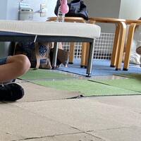 画像409