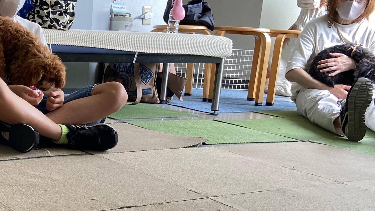 画像409