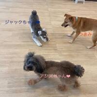 画像446