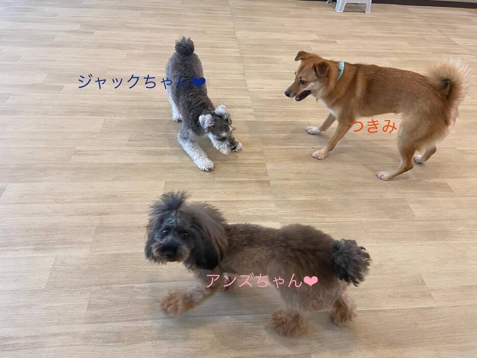 画像446