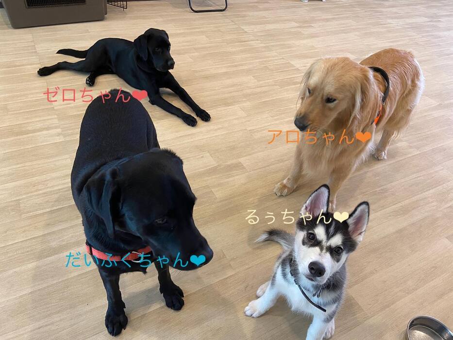 画像468