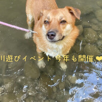 画像479