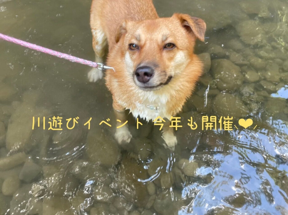 画像479