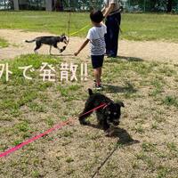 画像492