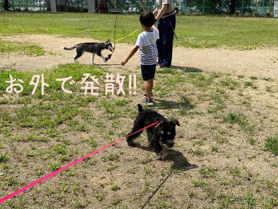 画像492