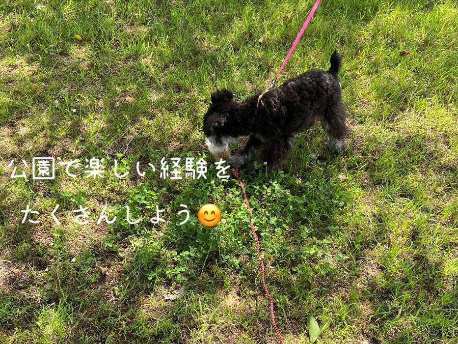 画像493