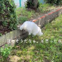 画像494