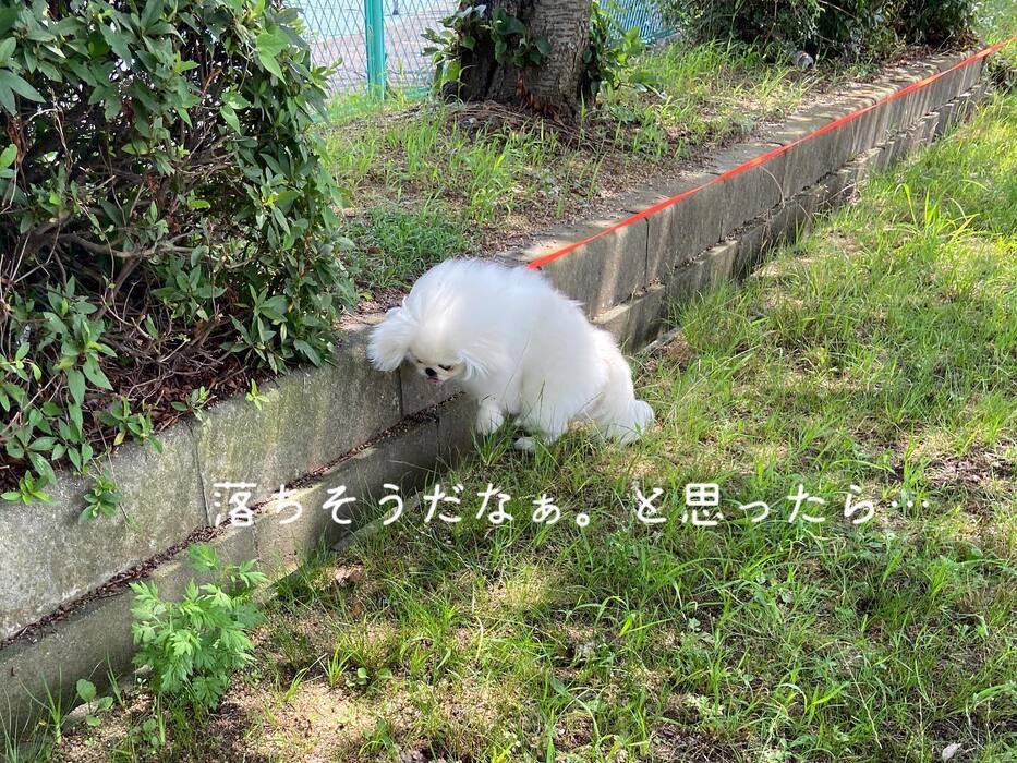 画像494