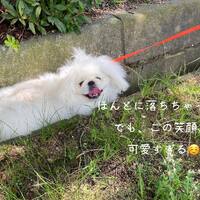 画像495