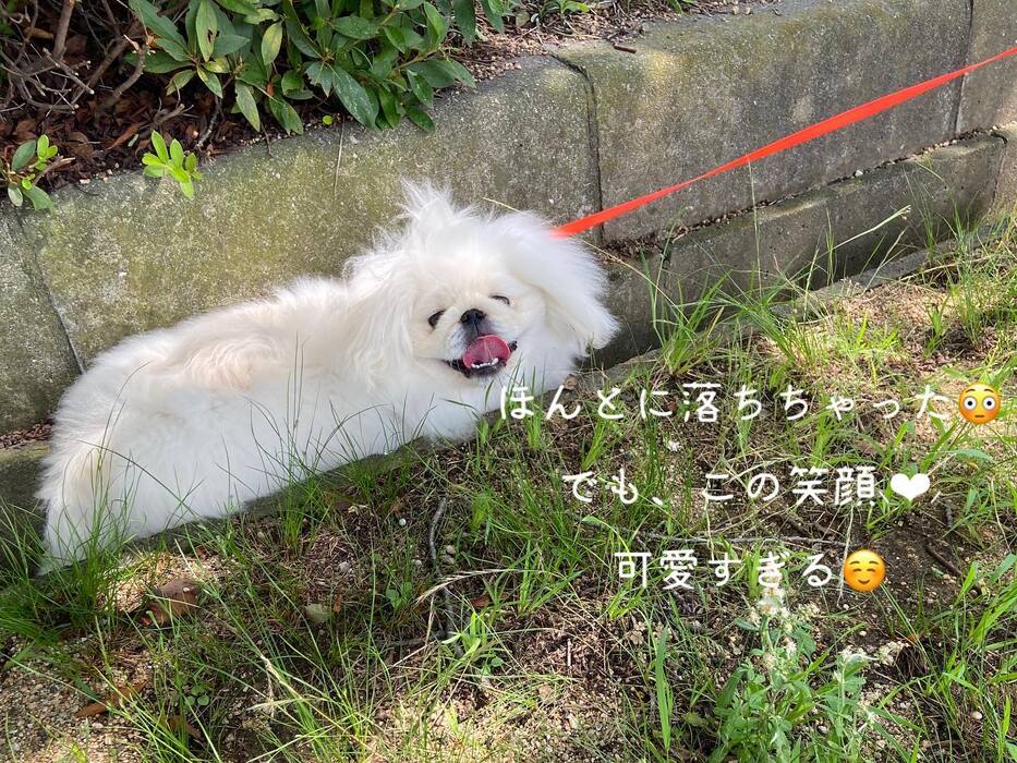画像495