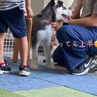 画像498