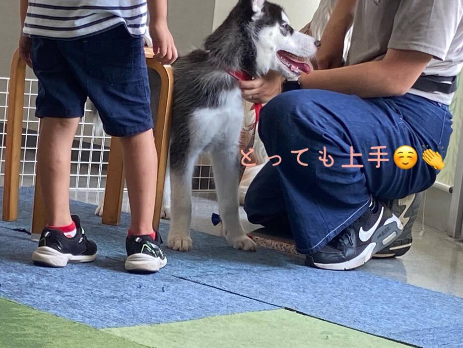 画像498
