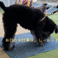 画像499