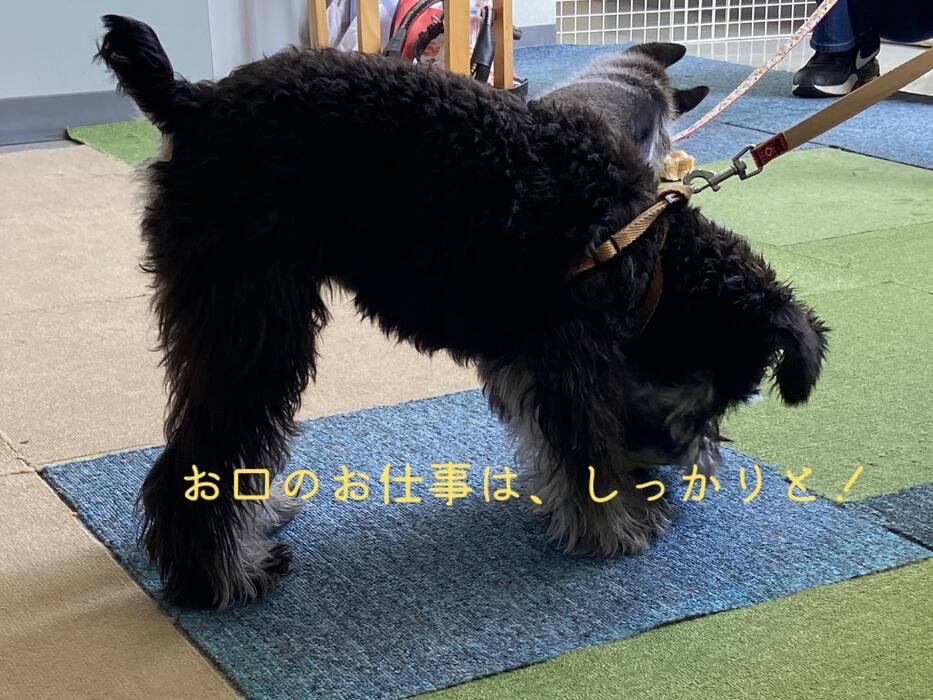 画像499