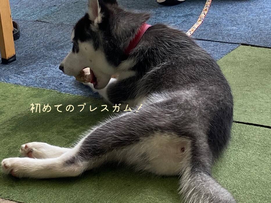 画像500