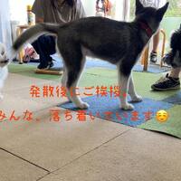 画像501