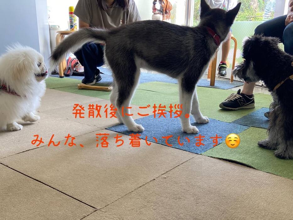 画像501