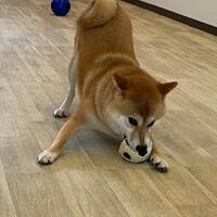 画像508