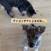 画像526