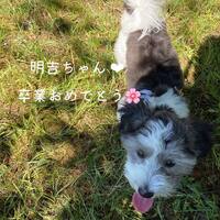画像532