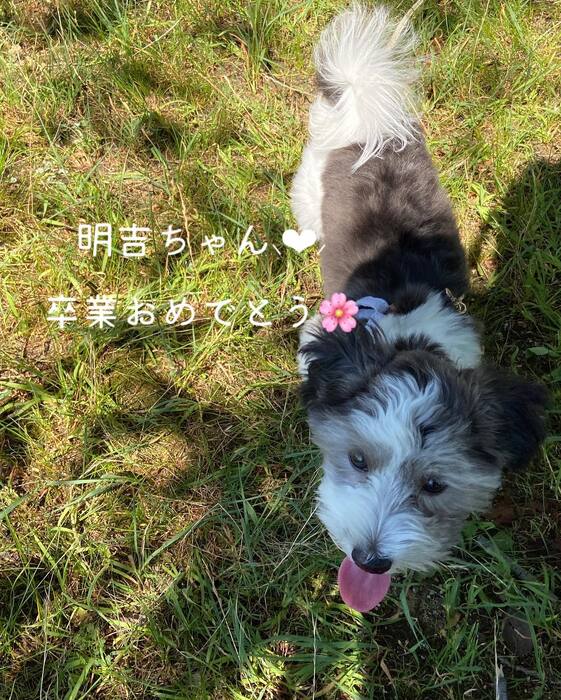 画像532