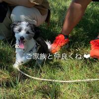 画像535