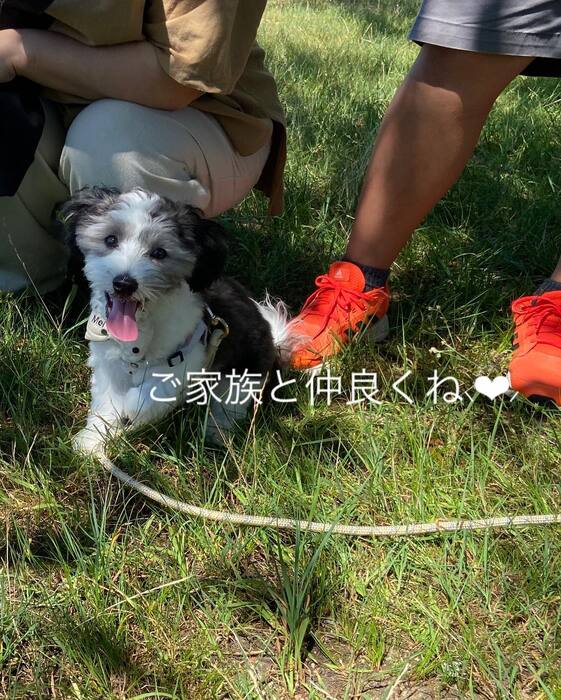画像535