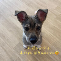 画像560